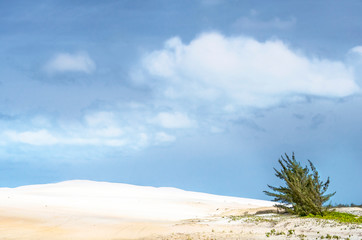 White dune and blues sky.