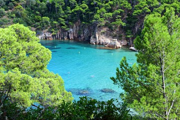 Fototapeta na wymiar paesaggio marino della splendida baia di Aiguablava sulla Costa Brava a Begur, Girona Spagna