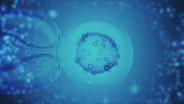 IVF in vitro fertilization through a microscope on blue. Scientific medical 3D rendering of an artificial insemination of female egg, ovum or zygote. 4k