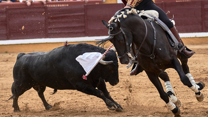 Toreo a caballo en la plaza de toros durante la feria en la fiesta nacional.