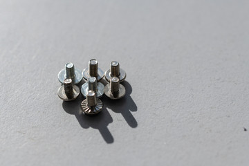 some small screws  lined up in the light with gray background
