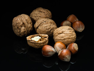 Still life of hazelnuts and walnuts.