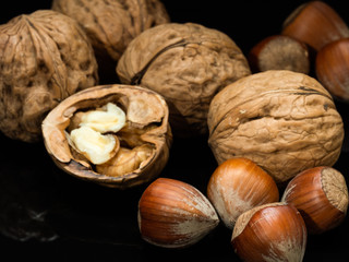 Still life of hazelnuts and walnuts.