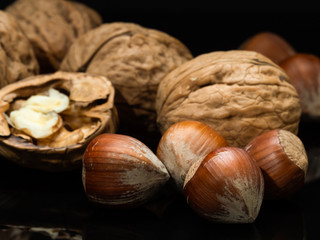 Still life of hazelnuts and walnuts.