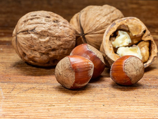 Still life of hazelnuts and walnuts.