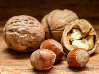 Still life of hazelnuts and walnuts.