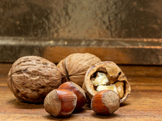 Still life of hazelnuts and walnuts.