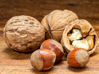 Still life of hazelnuts and walnuts.