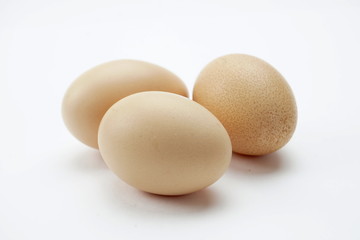 Chicken eggs isolated on a light background