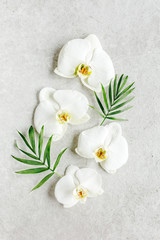 Beautiful tropical orchid flowers and palm leaves on marble grey background. Flat lay, top view