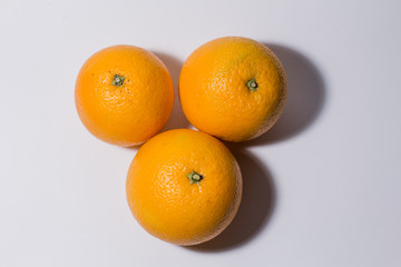 orange orange on a white background