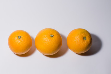orange orange on a white background