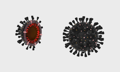 Coronavirus isolato su fondo neutro, con dettagli interni, immagine 3D, illustrazione