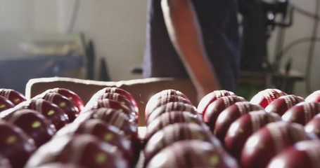 Front view of handmade cricket ball in factory - Powered by Adobe