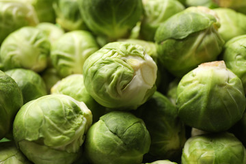 Fototapeta na wymiar Fresh green brussels sprout texture background, close up