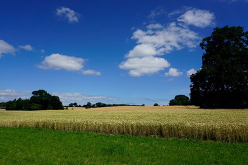 Tief blauer Himmel