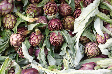 fresh green ARTICHOKES for sale in the greengrocer stall