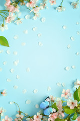 Flowering branches and petals on a blue background