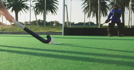 Female hockey players playing on the field - Powered by Adobe