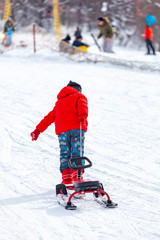 Fototapeta na wymiar Back view of child in pulling sledge and running up snowy slope