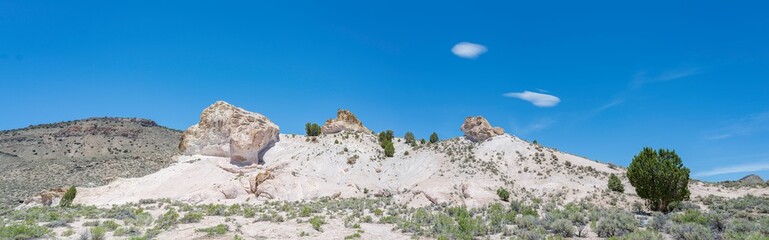 Fototapeta na wymiar Volcanic Tuff Rock Outcropping Panorama From Box Canyon near Little Fishlake Valley Hot Creek and Pat Spring, Hot Creek Range, Nye County, Nevada, USA