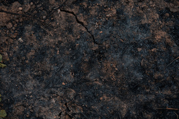 Black ground photos of a fire, after a forest fire