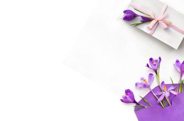 Beautiful spring flowers violet crocuses in postal envelope and white gift box with pink ribbon and bow on a white background with space for text. Top view, flat lay