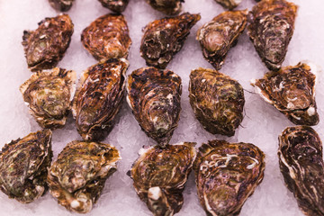 Stock photo of a close-up of a lot of oysters at a Spanish market stall