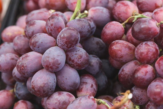 Stock photo of a detail shot of a group of delicious purple grapes