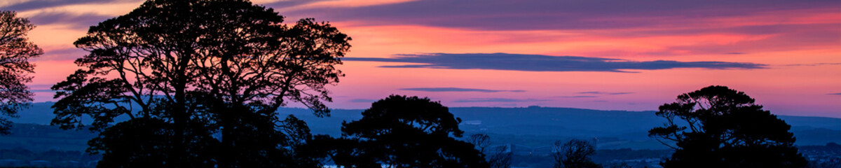 Fototapeta na wymiar Sunset & tree silhouettes, as a beautiful panorama design - in header or banner format.