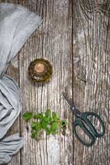 Freshly cut mint leaves on a plate.