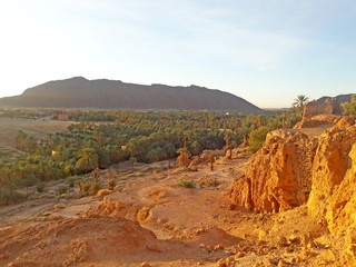 The palm tree valley in the oasis of Figuig in Morocco 