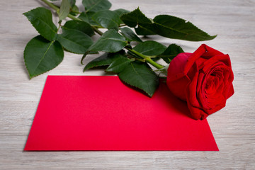 Red rose with red blank paper for text.  Greeting card mock up