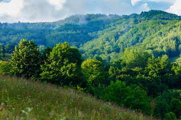 Obraz premium Summer landscape in Apuseni mountains, Romania