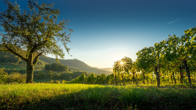Blick von Beuren zur Hohenneuffen, Schw&auml;bische Alb