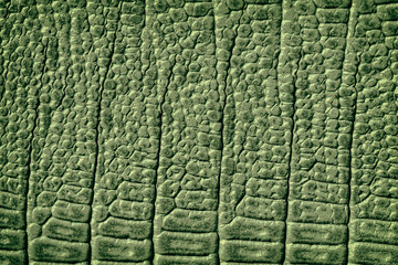 Texture of genuine leather close-up, embossed under the skin crocodile, green color print, trendy background.