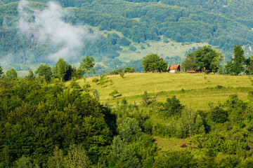 Summer landscape in Apuseni mountains, Romania