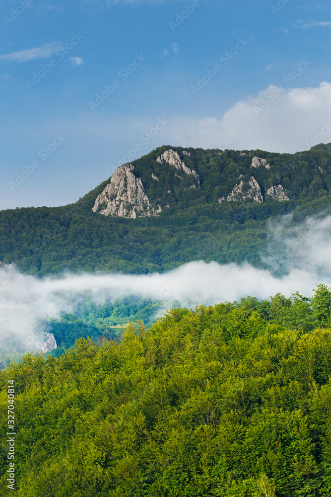 Wall mural summer landscape in apuseni mountains, romania