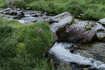 Wild mountain river flowing through the rocks