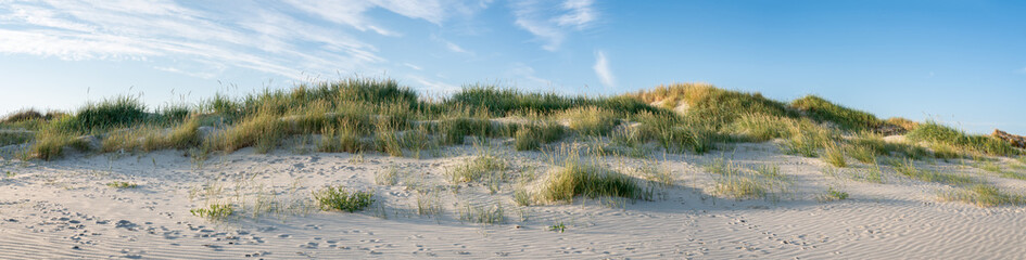 Sandy dunes as panorama background