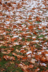 first snow