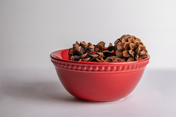 Red bowl with pinecones décor shot on studio seamless white background copy space 