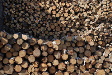 wood, log, firewood, tree, timber, stack, pile, woodpile