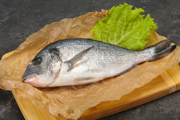 Raw Dorada fish  for cooking