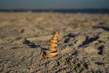 Fototapeta na wymiar Nahaufnahme einer Muschel und Deko Spirale aus Holz am Strand auf Sanibel Island 