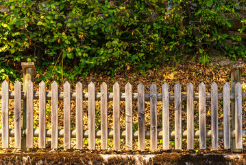 A low, wooden fence standing on a concrete wall, illuminated by the setting sun. In the background plants with green leaves.