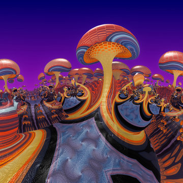 Mushroom World_Psychedelic Color 01