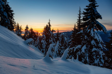 Canadian Nature Landscape covered in fresh white Snow during colorful and vibrant winter sunset. Taken in Seymour Mountain, North Vancouver, British Columbia, Canada.