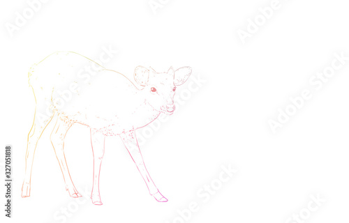 写実的な動物イラスト 虹色の牡の小鹿が立ち上がる姿 Wall Mural Tkm