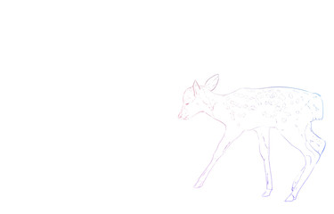 写実的な動物イラスト、虹色の小鹿の歩く姿